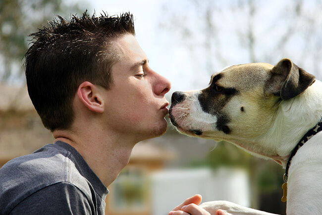 Beijar cães faz bem a saúde?