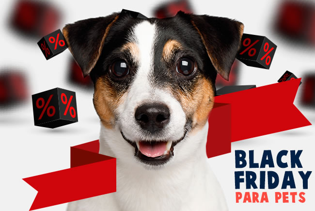 Black Friday para pets