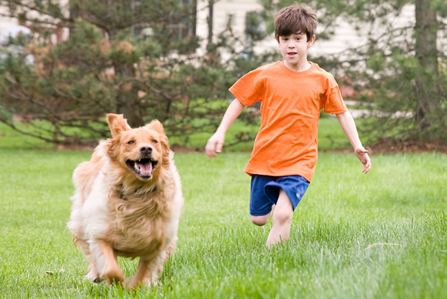 Cães ajudam crianças a terem mais atividade física