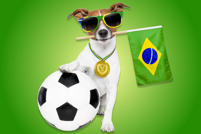 Cuidados com os pets em dias de jogos do Brasil