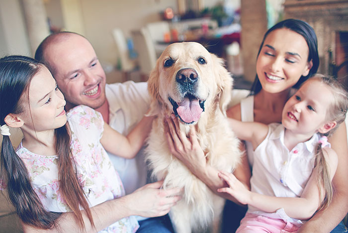 Pets em casa ajudam na saúde do coração de tutores