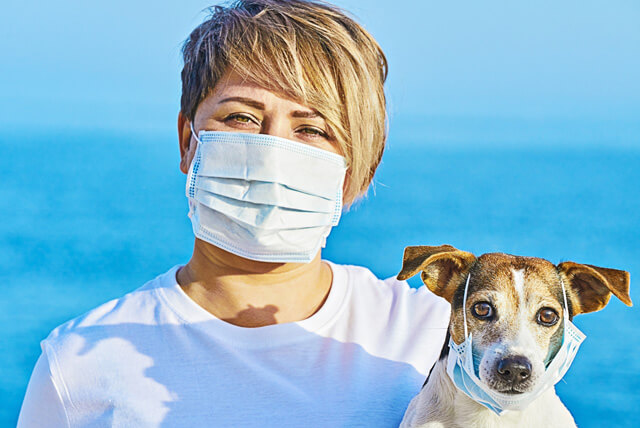 Na pandemia, pets ganham espaço nas casas do país