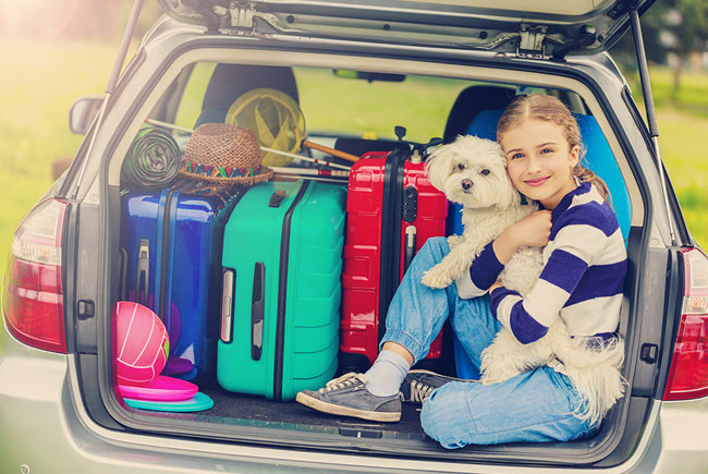 Prepare-se para viajar com seu cão ou gato